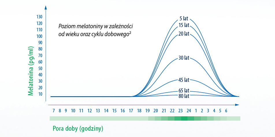 rytm dobowy melatoniny